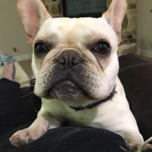 Meet your Posher, Emma